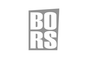 bors logo